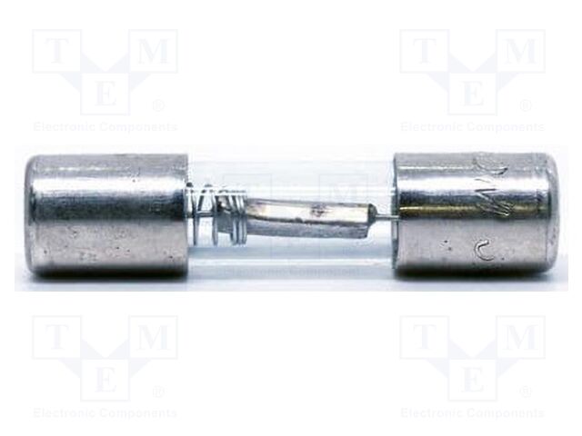 Fuse: fuse; time-lag; 600mA; 6.3x32mm
