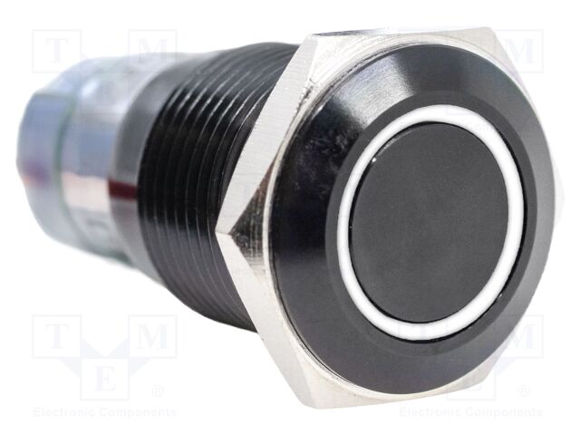 Switch: vandal resistant; Pos: 2; SPDT; 2A/48VDC; IP67; ON-(ON)
