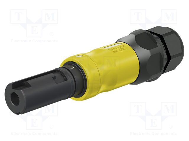 Connector: AC supply; screw terminal (AxiClamp); male; 10BV; 250A