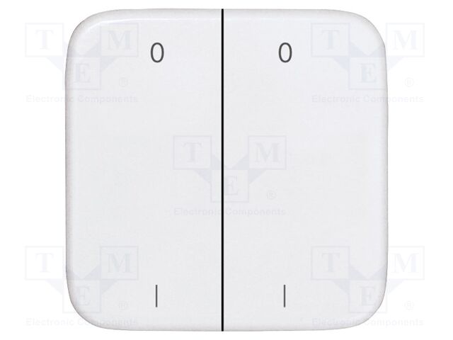 Cover plate; intelligent house,buttons and switches; double
