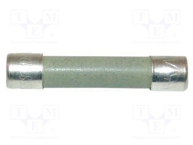 Fuse: fuse; time-lag; 20A; 250VAC; 125VDC; ceramic,cylindrical