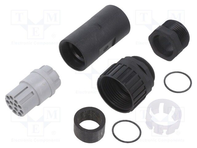 Plug; Connector: DIN 43651; NR; female; PIN: 12; w/o contacts; 5A