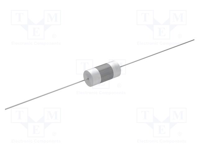 Capacitor: polyester