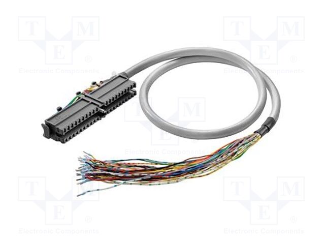 Connector: pluggable terminal block
