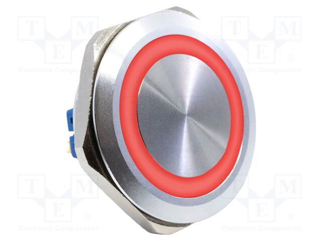 Switch: vandal resistant; SPST-NO + SPST-NC; 2A/48VDC; IP65; 12V