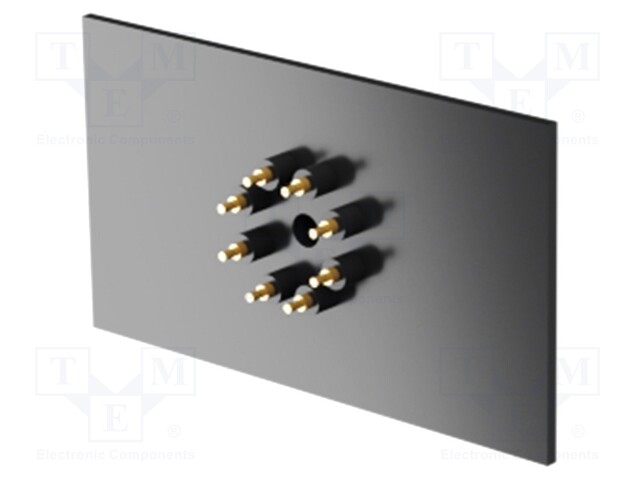 Rear panel