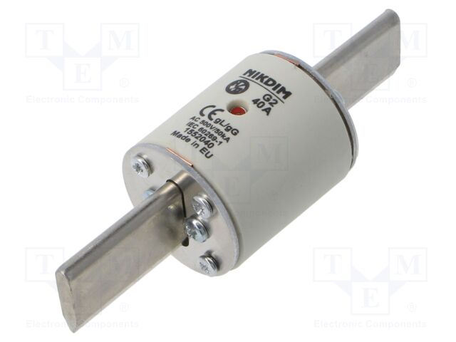 Fuse: fuse; gG; 40A; 500VAC; industrial; NHg