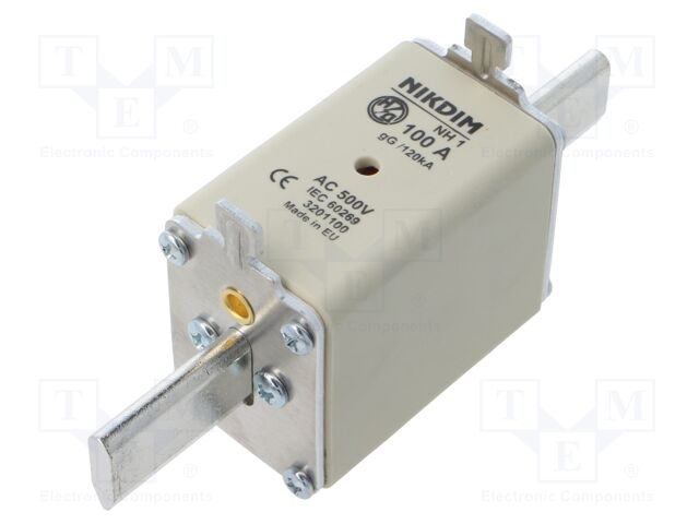 Fuse: fuse; gG; 100A; 500VAC; industrial; NH1