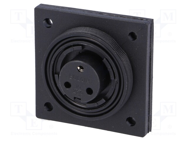 Connector: circular; socket; female; PIN: 3; Buccaneer Standard