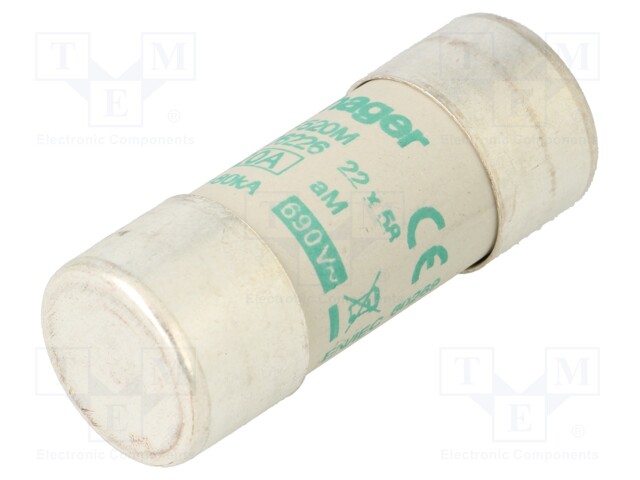 Fuse: fuse; aM; 20A; 690VAC; cylindrical,industrial; 22x58mm