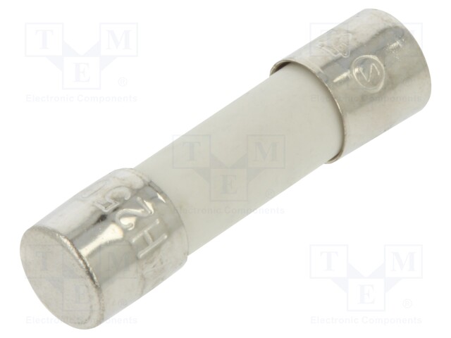 Fuse: fuse; time-lag; 10A; 250VAC; ceramic,cylindrical; 5x20mm