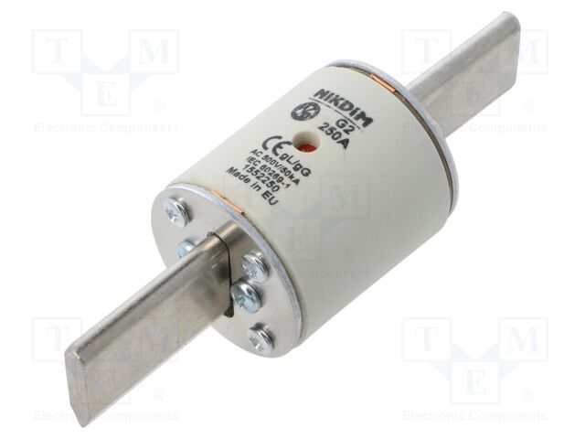 Fuse: fuse; gG; 250A; 500VAC; industrial; NHg
