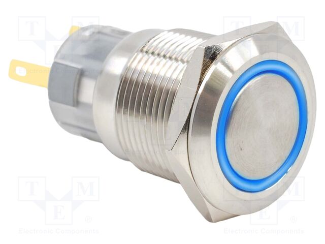 Switch: vandal resistant; SPDT; 2A/24VDC; IP67; ON-(ON); blue; 12V