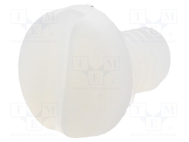 Screw; M4x6; 0.7; Head: cheese head; slotted; 1,3mm; polyamide