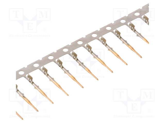 FKCP03401A