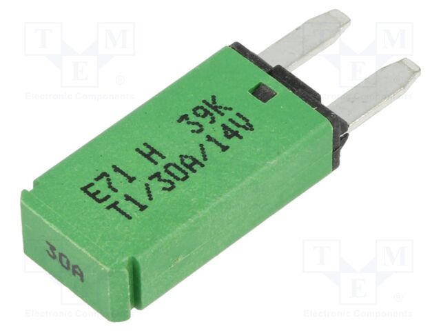 Fuse: resettable; 30A; 14VDC