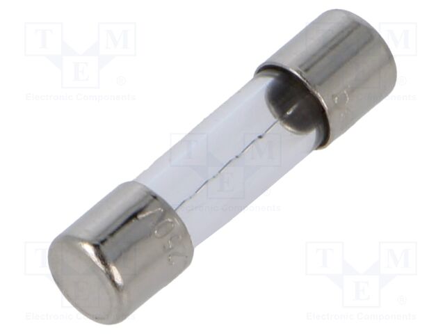 Fuse: fuse; quick blow; 10A; 250VAC; cylindrical,glass; 5x20mm