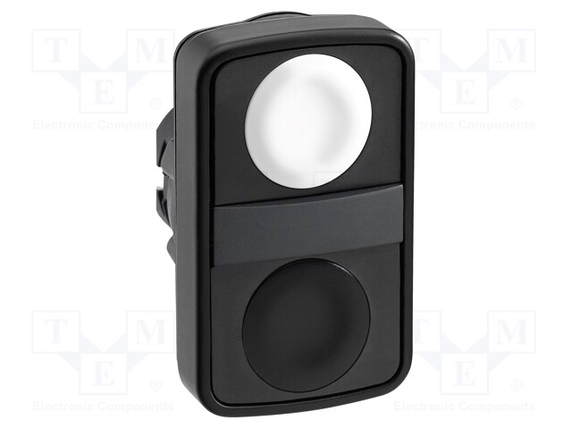 Switch: double; Stabl.pos: 1; 22mm; white/black; Illumin: none; IP66