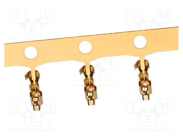 Connector: wire-board