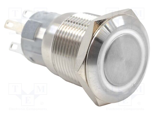 Switch: vandal resistant; DPDT; 2A/24VDC; IP67; ON-ON; white; 12V