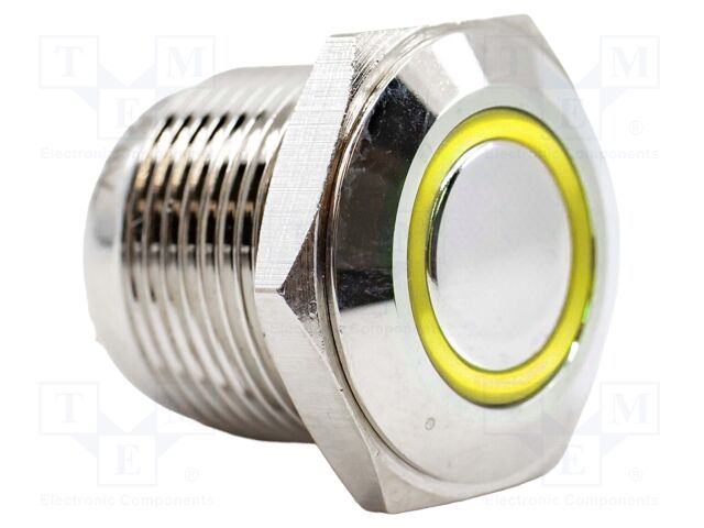 Switch: vandal resistant; SPST-NO; 2A/48VDC; IP65; OFF-(ON); Ø16mm