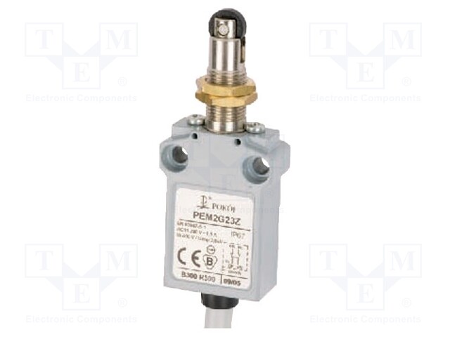Limit switch; NO + NC; 5A; max.250VAC; max.250VDC; lead 1m; IP67