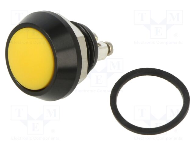 Switch: vandal resistant; Pos: 2; SPST-NO; 5A/24VDC; IP67; OFF-(ON)