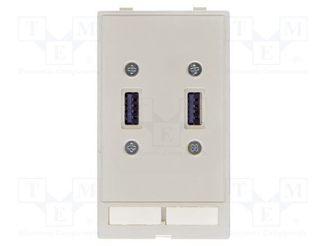 Data module (2x USB)