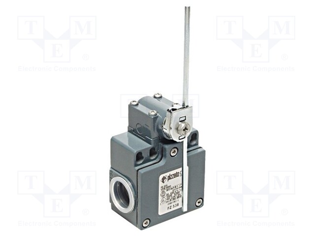 Limit switch; adjustable plunger, length R 19-116mm; NO + NC