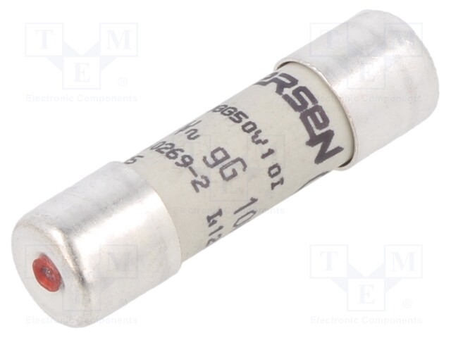 Fuse: fuse; gG,time-lag; 10A; 500VAC; 250VDC; 10x38mm