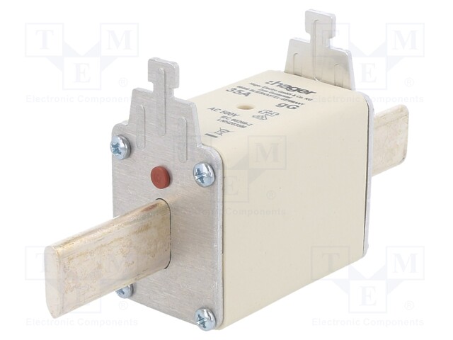 Fuse: fuse; gG; 35A; 500VAC; industrial; NH2