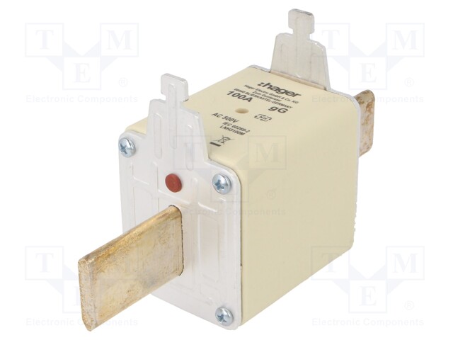 Fuse: fuse; gG; 100A; 500VAC; industrial; NH3C