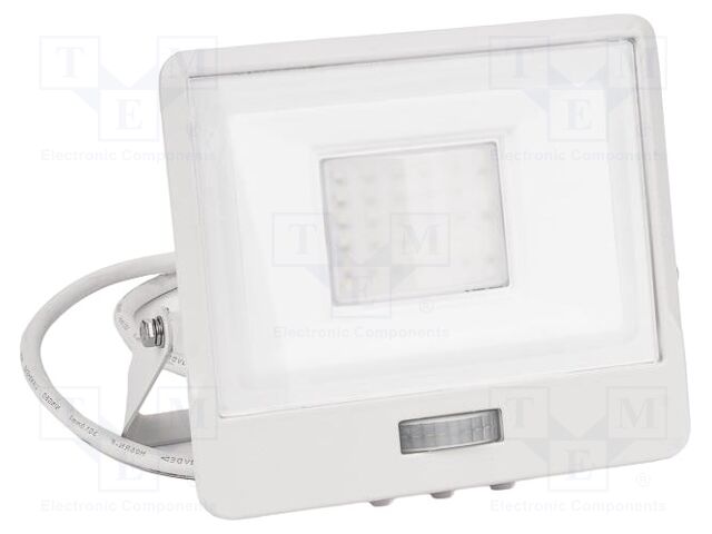 Lamp: LED flood light; 30W; 230VAC; neutral white; 100°; 4000K