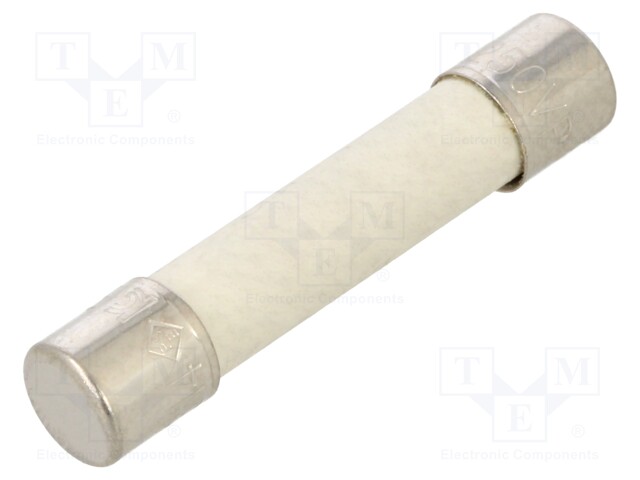 Fuse; 25A; 250V; Ø6.3x32mm