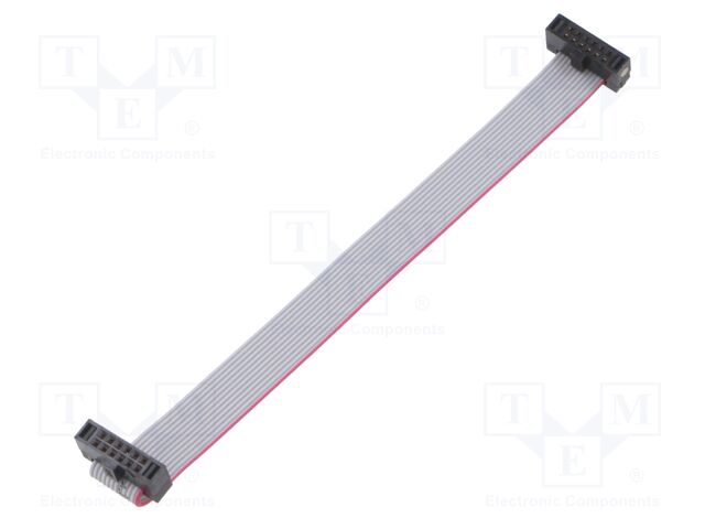 Ribbon cable with IDC connectors; Tape ph: 0.64mm; 101.6mm