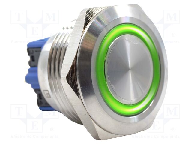 Switch: vandal resistant; DPST-NO + DPST-NC; 2A/48VDC; IP65; 12V
