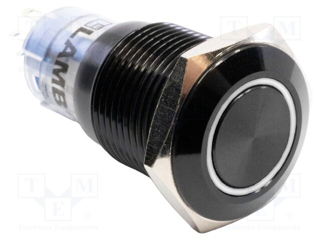 Switch: vandal resistant; Pos: 2; DPDT; 2A/48VDC; IP40; ON-(ON)