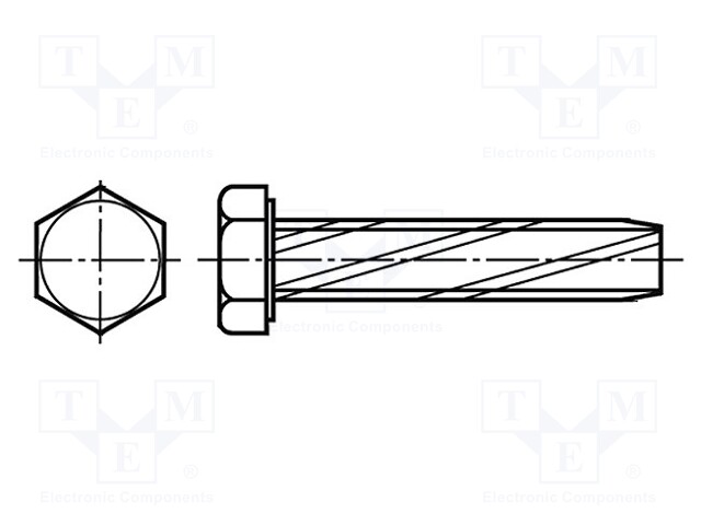 Screw; 6x16; Head: hexagonal; none; hardened steel; zinc; BN: 1221
