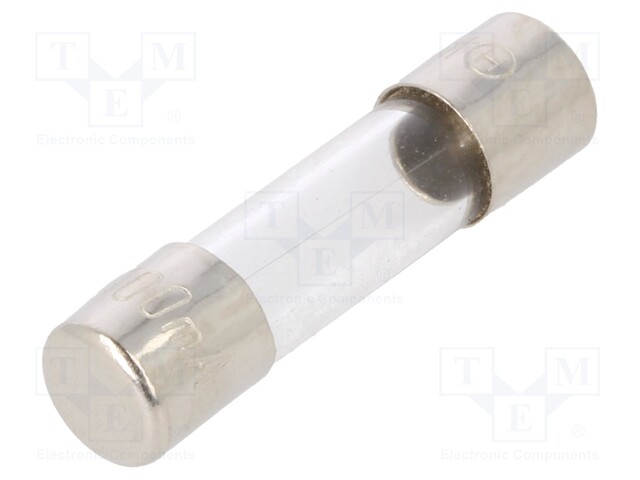 Fuse: fuse; 100mA; 250VAC; glass; 20x5.2mm; bulk