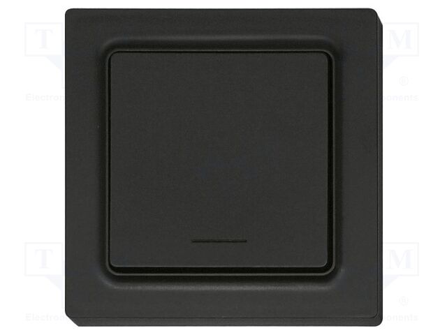 Wireless push button; EnOcean; 30m; Ch: 1; intelligent house