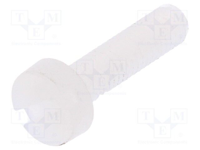 Screw; M3x12; 0.5; Head: cheese head; slotted; 0,9mm; polyamide