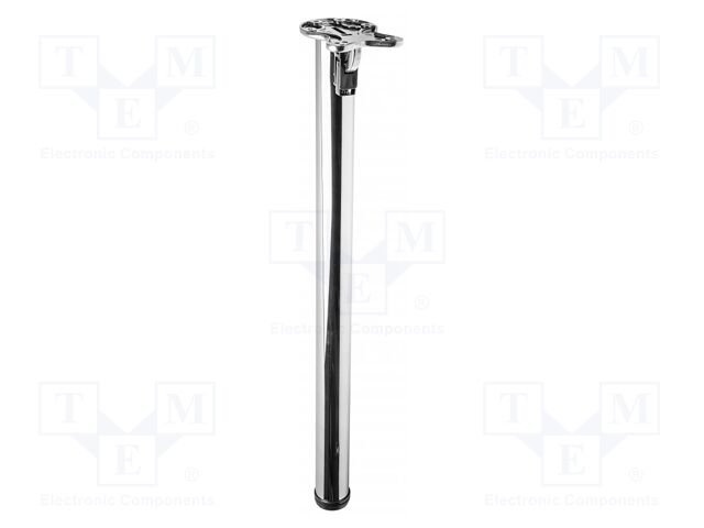 Foot