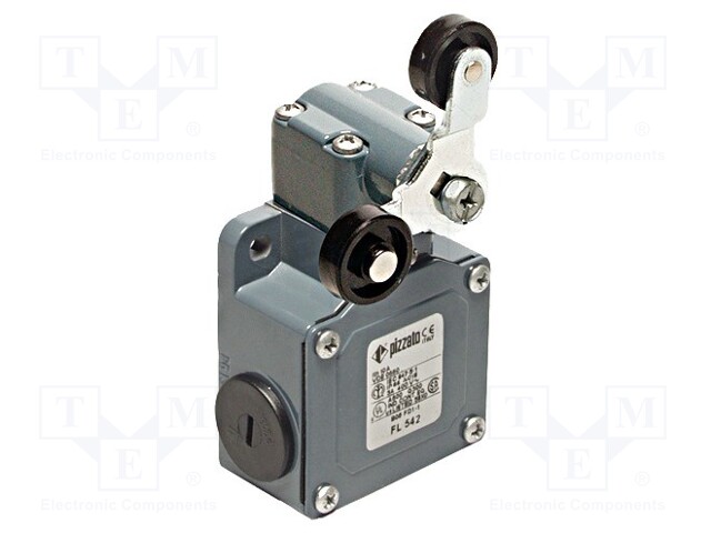 Limit switch; lever R 40mm, plastic roller Ø20mm, double; 10A