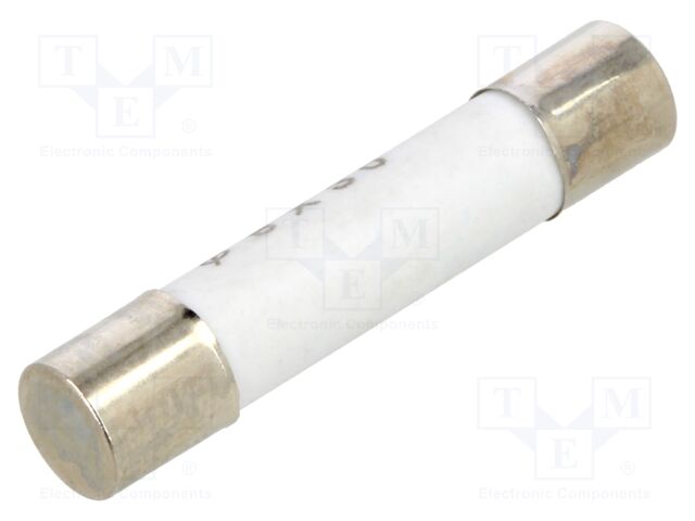 Fuse; MS301,MS306; 10A; 500V; Ø6.3x32mm