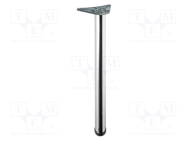 Foot