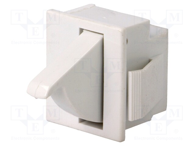 Switch: door; Pos: 2; SPDT; 5A/250VAC; Leads: 4,8x0,5mm connectors