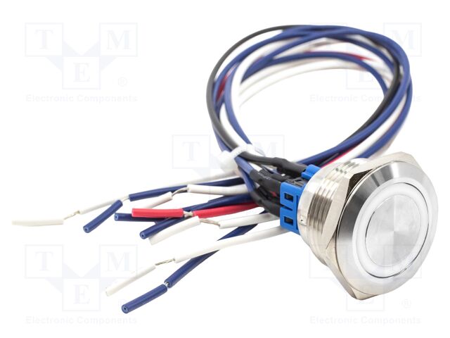 Switch: vandal resistant; DPST-NO + DPST-NC; 2A/48VDC; IP65; 24V