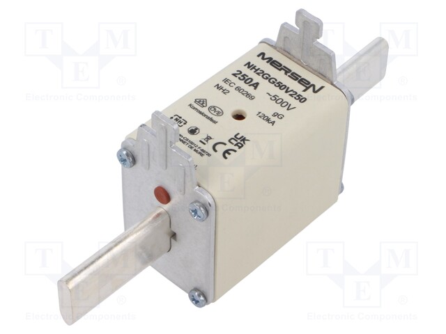 Fuse: fuse; gG; 250A; 500VAC; 250VDC; ceramic,industrial; NH2