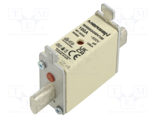 Fuse: fuse; gG; 100A; 500VAC; 250VDC; ceramic,industrial; NH000