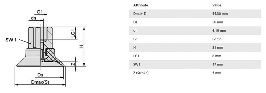 Suction cup; 50mm; 24.9g; G 1/8 F; Shore hardness: 55; 7.1cm3; SUF